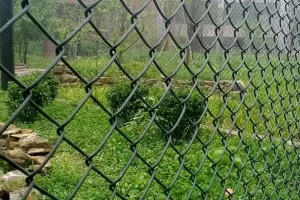 توری حصاری و فنس دور باغ